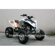 EEC 300cc cool deporte ATV/quad bicicleta